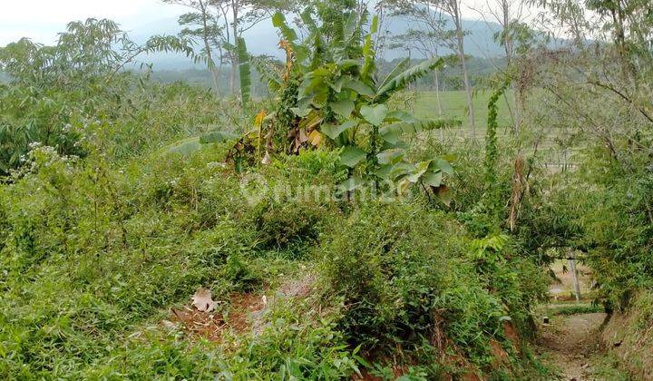 Tanah di desa Belimbing Boja 2