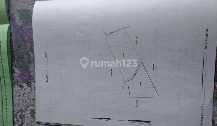 Tanah kebun 2ha cocok investasi harga murah 2