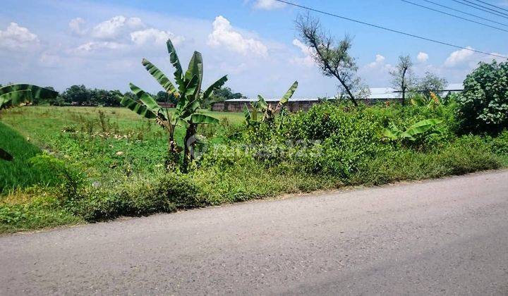 Tanah ideal lokasi zona kuning di lokasi serenan  Juwiring klaten 1