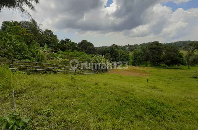 Tanah padat di Semboja Kutai Keetanegara Kaltim bentuk kotak cocok unt dibangun, unt lahan kebun dll dengan harga miring 1