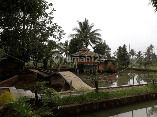 Murah Tanah Outbond di Ciwaru Cianjur Jawa barat 1