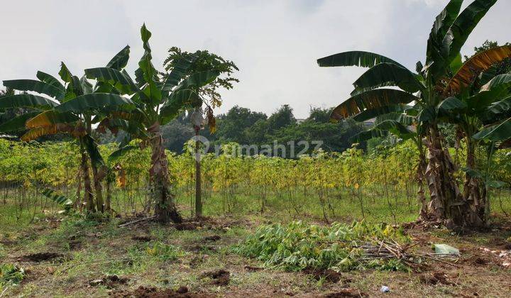 Tanah 4.670m2 Cocok Untuk Cluster di Depok 1