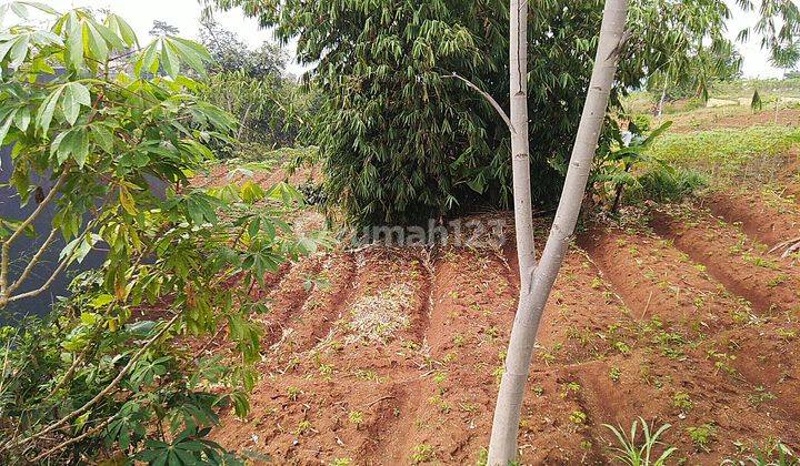 Tanah kavling murah di komplek area cibangkonol cibiru bandung 1