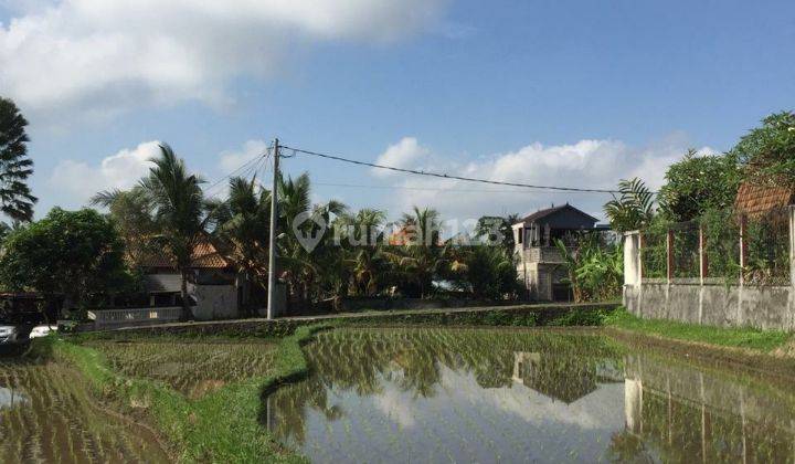 Tanah los sungai dan sawah luas 17 are di ubud 2