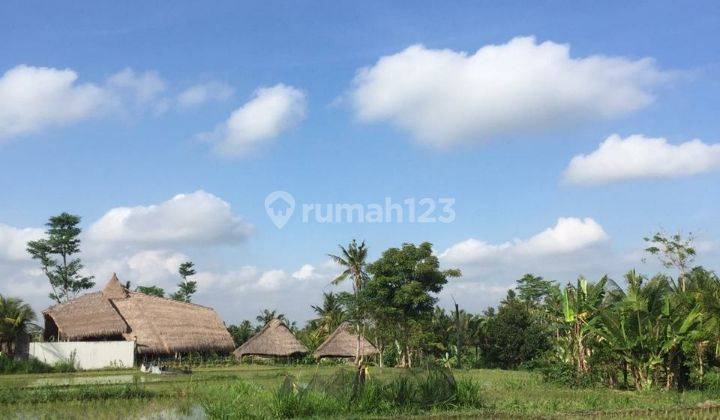 Tanah view sawah keren luas 5are siap bangun 1