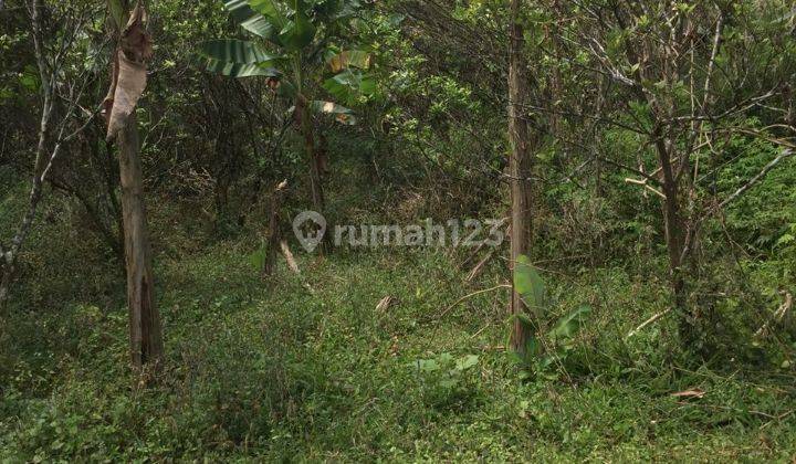 Tanah cocok vila pribadi lokasi tenang siap bangun 2