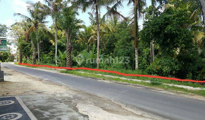 Tanah 6000m² hanya 1,5 km dari kota Tabanan 1