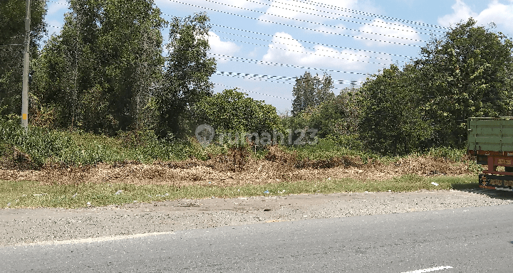 Tanah Siap Bangun dan Strategis di Ringroad Mojosongo 2