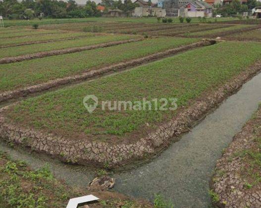 Tanah Murah Cck Untuk Komersil Luas 20.000 m2 Jl. Perkutuk Ciputat Tangerang 1