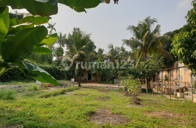 Tanah Pinggir Jalan Lebak Bulus, Jakarta Selatan Tanah Pinggir Jalan Lebak Bulus, Jakarta Selatan