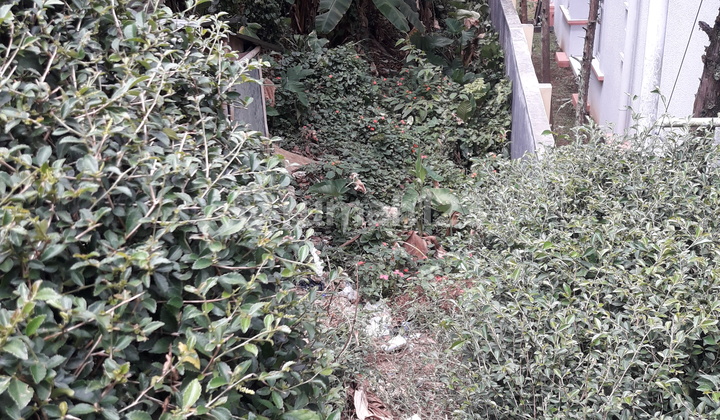 Tanah di cipaku bandung utara ( dyh )