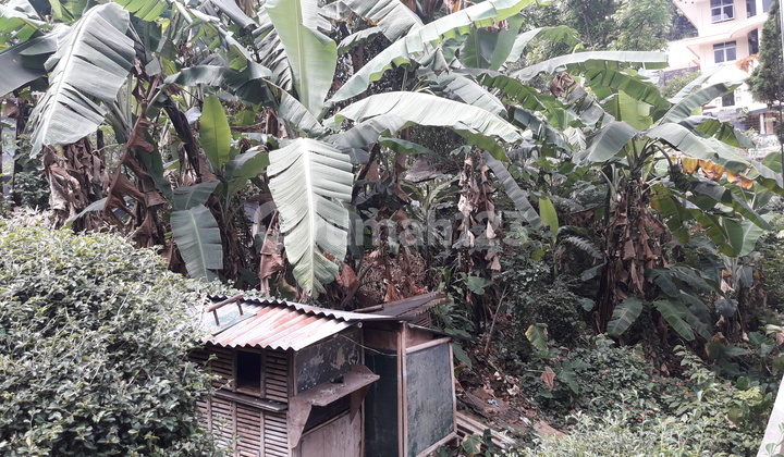 Tanah di cipaku bandung utara ( dyh )
