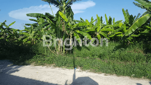 LAND IN PERERENAN FOR IN 1