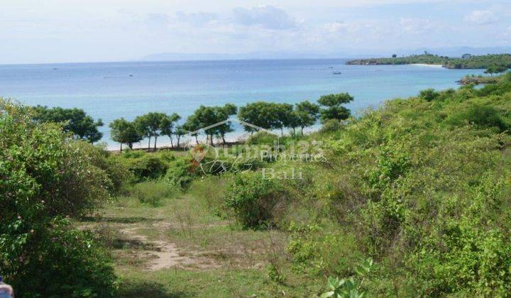 Absolute Beachfront, 4 Hectare with private Bay, Lombok Island 1