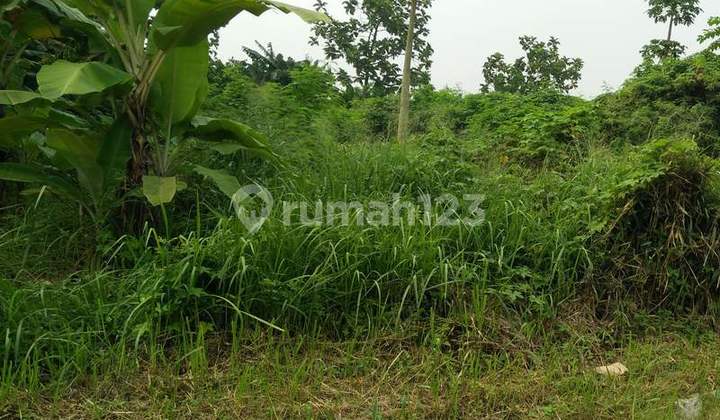 Tanah industri bisa masuk kontainer 40FT di Jati Uwung. 0618