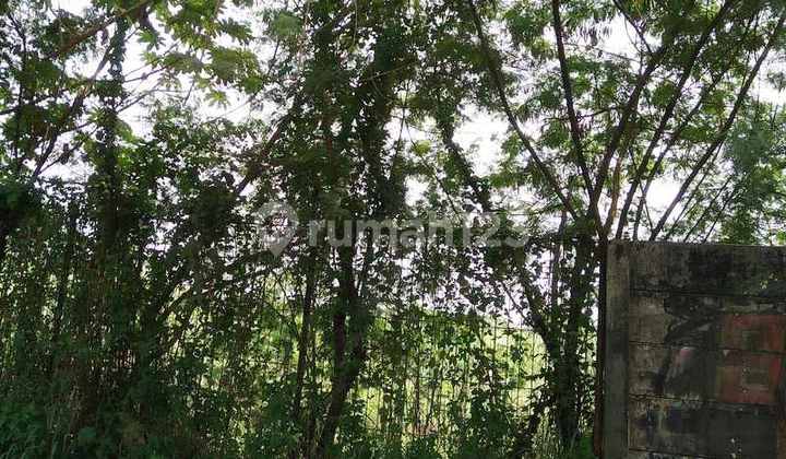 Tanah bisa masuk kontainer, izin industri di Jatake, Bitung. 0629