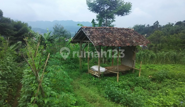 Tanah perkebunan di Ciwidey Pasir Jambu Kampung Nenggeng, Desa Tenjolaya