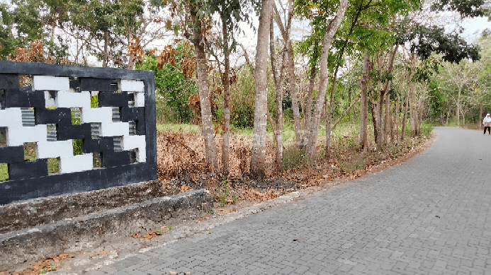 Tanah pekarangan di Balecatur gamping sleman Yogyakarta. 1