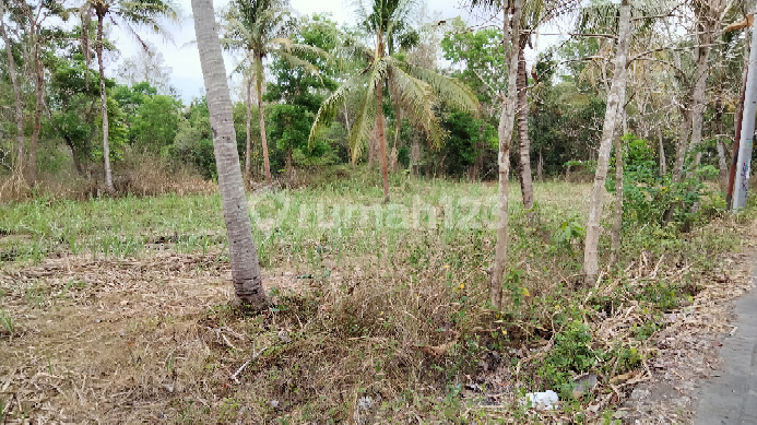 Tanah  dekat Rajaklana Resto Gamping Balecatur sleman Yogyakarta.