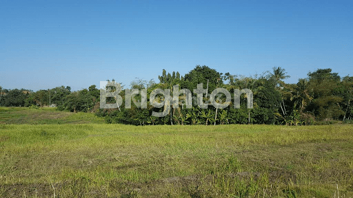 LAND IN PERERENAN FOR IN 2