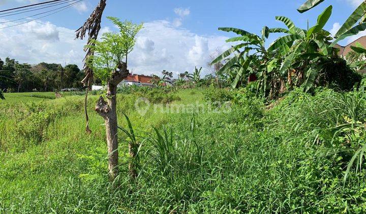 TANAH VIEW SAWAH DEKAT PANTAI DI CANGGU 2