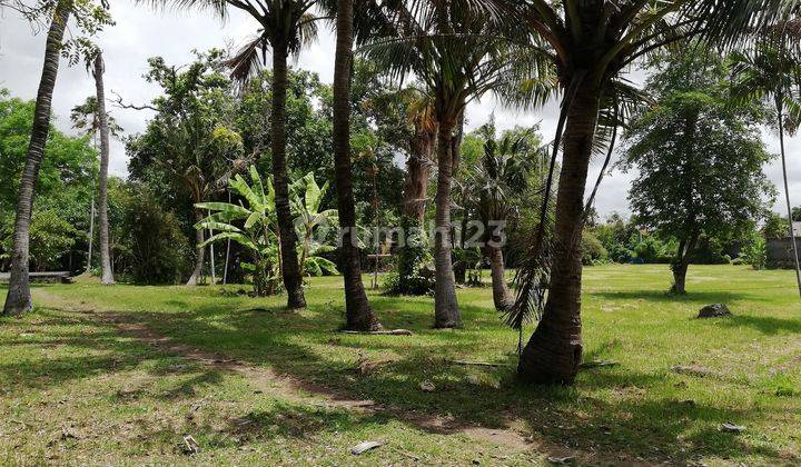 Tanah Los Pantai, Jual, Luas 10.390m2, Shm, Berawa, Canggu, Bali 2