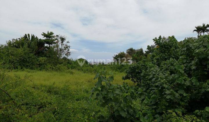 Land on the Beach, Area 5,680m2, For Villa, Cemagi, Badung, Bali 1