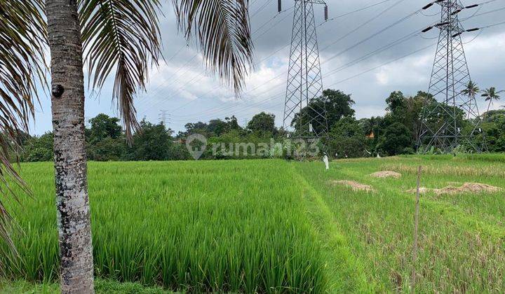 CHEAP LAND VIEWING FIELDS AND THE TABANAN RIVER 2