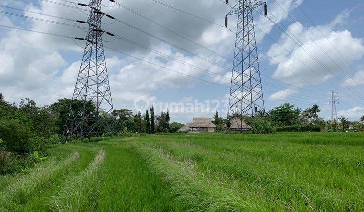 CHEAP LAND VIEWING FIELDS AND THE TABANAN RIVER 1