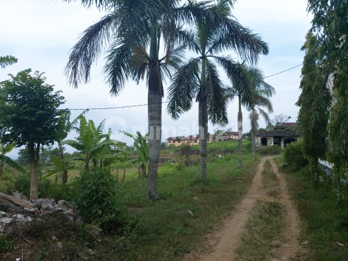 Tanah udara sejuk dengan view indah di jalan raya kopeng salatiga 2