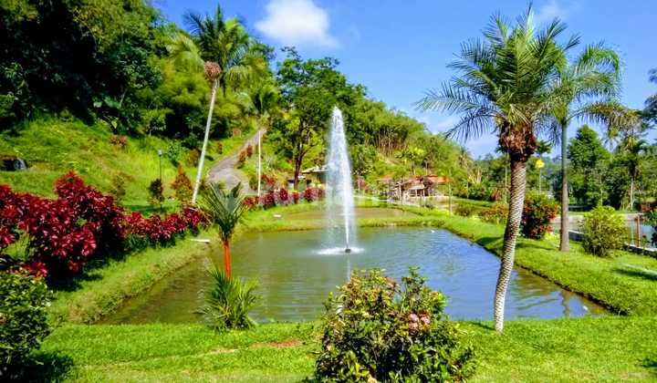 Tanah Lembah Nan Indah Cocok Cafe Plus Kolam Pemancingan dan Ternak Zidat di Caringan, Bogor Tanah Lembah Nan Indah Cocok Cafe Plus Kolam Pemancingan dan Ternak Zidat di Caringan, Bogor