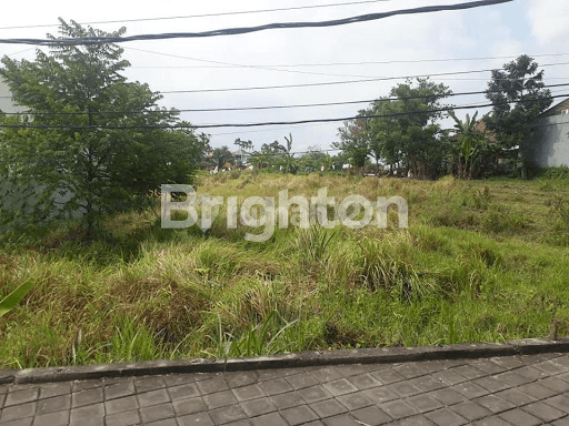 VERY STRATEGIC LAND IN CANGGU 2