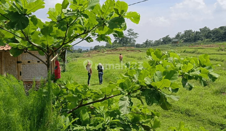 Dijual Tanah siap Bangun Jl.Raya Jonggol Bogor dekat akses jalan Tol  2