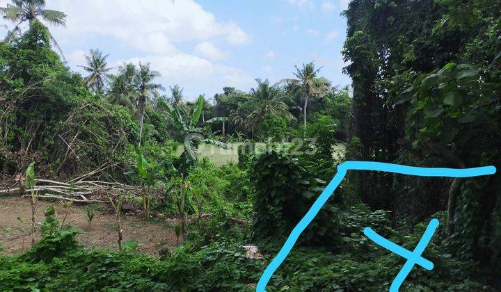 Beautiful land with views of rice fields and rivers, ready to build 1