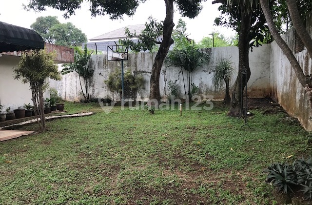 Jual Rumah di Cinere Halaman Luas, Asri, rumah terawat Jual Rumah di Cinere Halaman Luas, Asri, rumah terawat