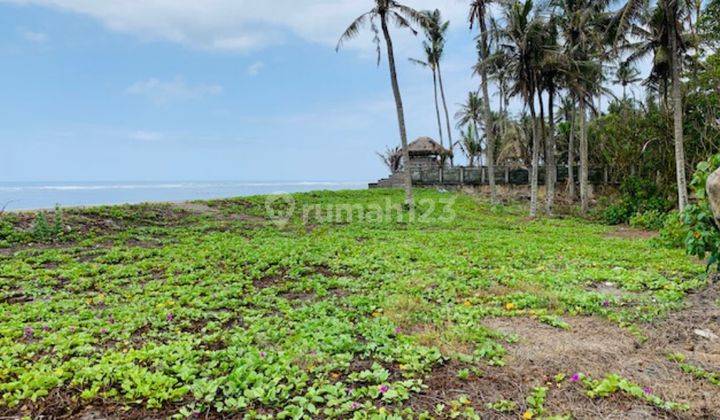 BEACH FRONT LAND AT CANGGU CEMAGI 1