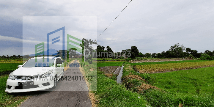 Tanah sawah dengan air melimpah di pengging Banyudono Boyolali 1