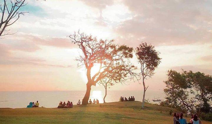 TANAH LUAS LOS PANTAI TANJUNG MUNDUK ASEM 1