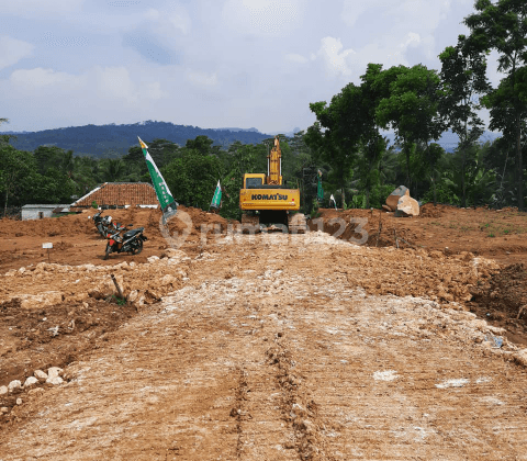 Tanah 200 Meter Bonus Pohon Kelengkeng dan Gazebo 2