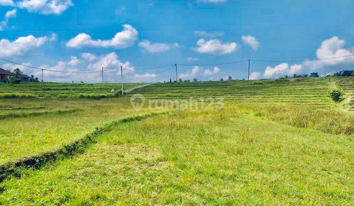 TANAH STRATEGIS VIEW SAWAH TABANAN 1