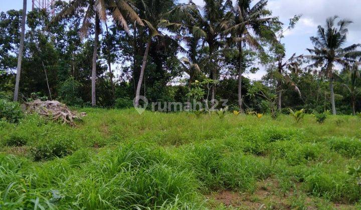 Cheap land in Ubud with an area of 4 acres priced at 150 million/acre 1