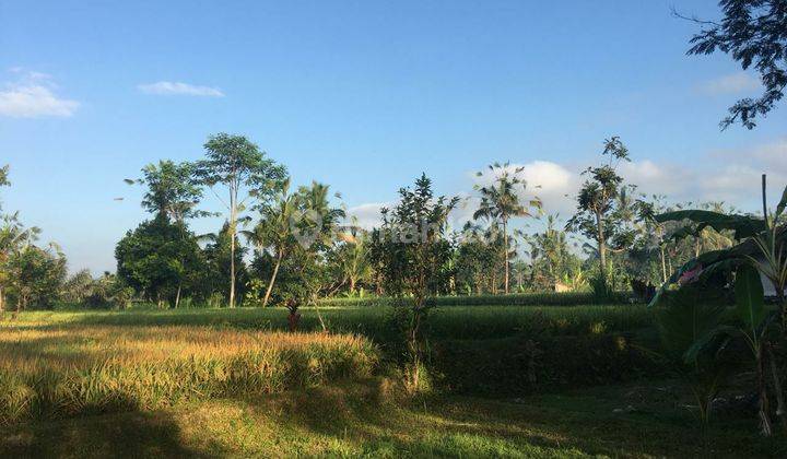 Land suitable for villa with view of cool valley rice fields priced at 110 million/are 1