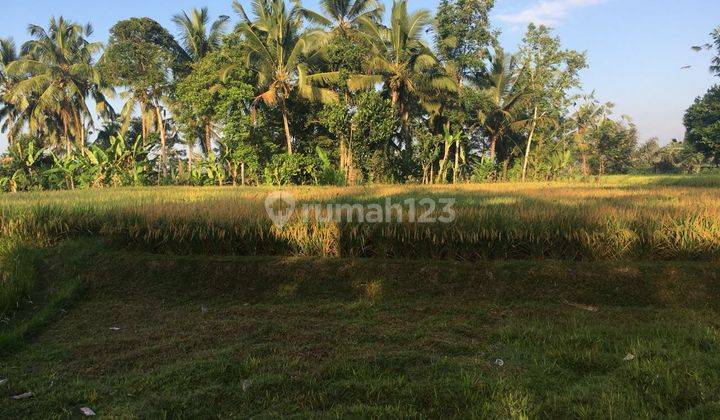 Land suitable for villa with view of cool valley rice fields priced at 110 million/are 2