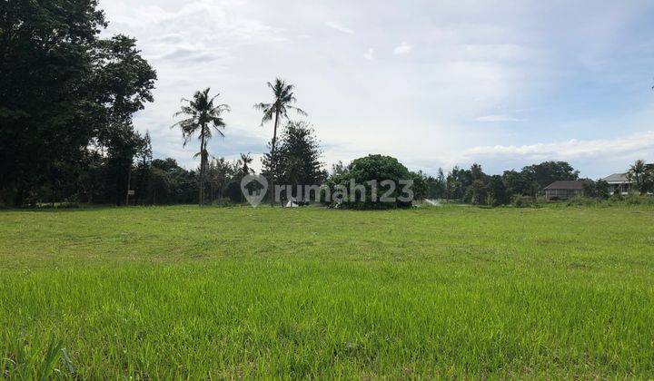 Tanah Kavling View Golf Langsung Kawasan Golf Gading Serpong (NEGOTIABLE PRICE) 1