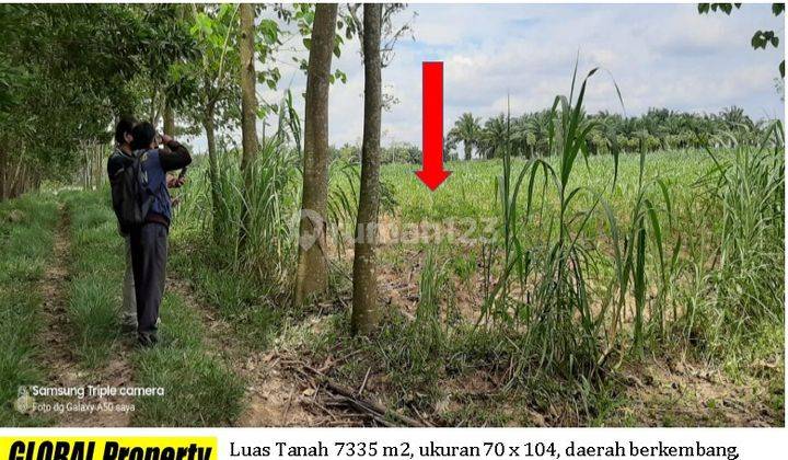 Tanah dekat ITERA cocok untuk rumah subsidi 1