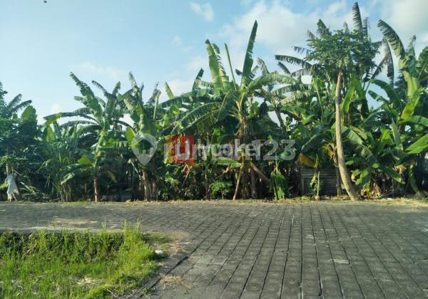 Tanah 6 Are di Jl. Uma Lalang Cemagi Mengwi Badung