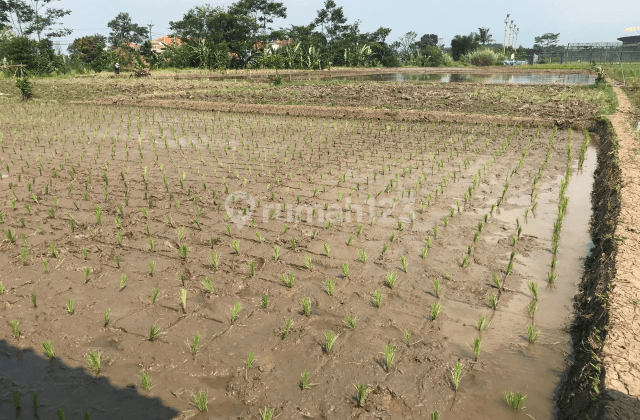 Tanah Soreang cocok untuk Invest 2