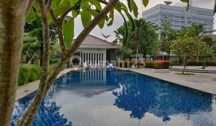 Bisa KPT atau Dicicil 36x Tanpa DP! Kavling Sudut Badan Mewah Hadap Utara di Sutera Renata Aruna Alam Sutera