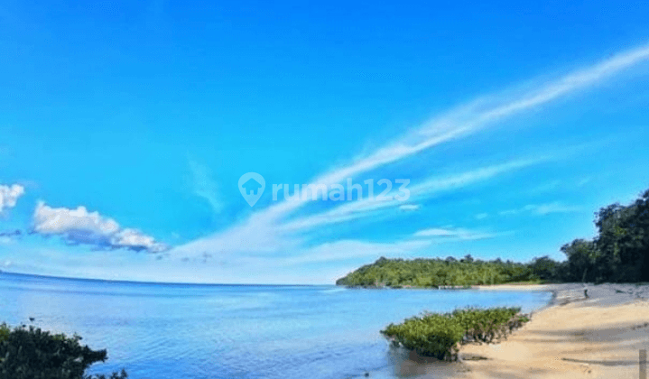 Tanah Pasir putih 267Hektar di pulau Bangka  buat area wisata  1