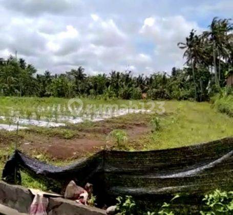 Tanah view sawah sdh di aspek paling murah di ubud cocok villa dan resto 2